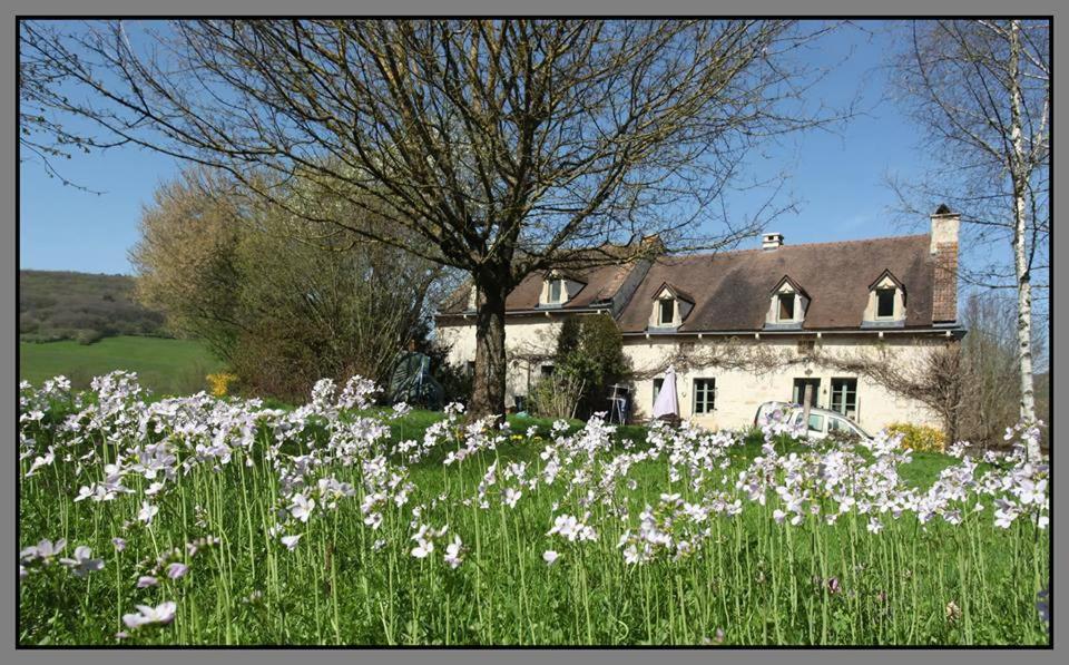 Le Pré Vert Crugey Extérieur photo